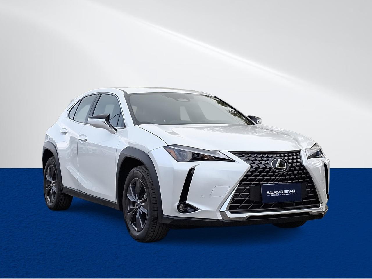 Station Wagon Lexus Ux300h